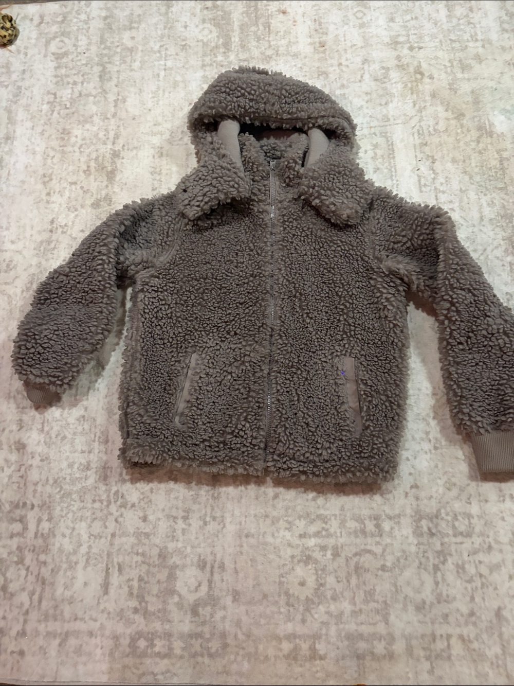 Abercrombie & Fitch Kids Sherpa Hooded Jacket - Gray